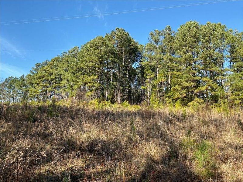 0 Dycus Rd, Sanford, NC 27330