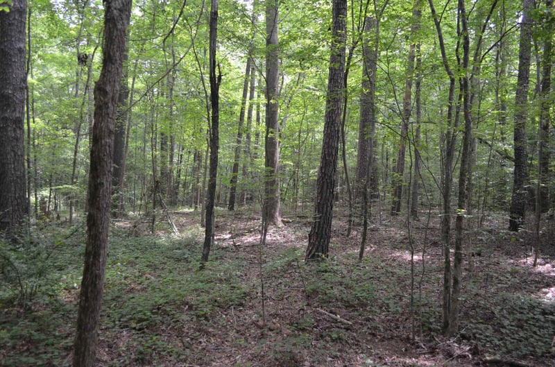 0 Dyson Dr, Mebane, NC 27302