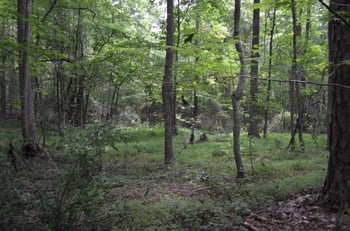 0 Dyson Dr, Mebane, NC 27302