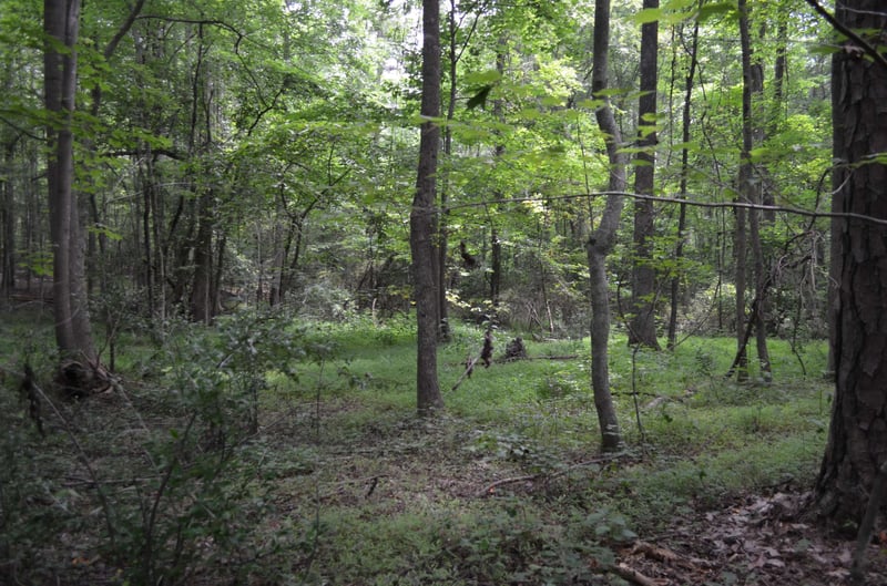 0 Dyson Dr, Mebane, NC 27302