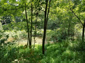 Dyson Dr, Mebane, NC 27302