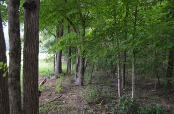 Dyson Dr, Mebane, NC 27302