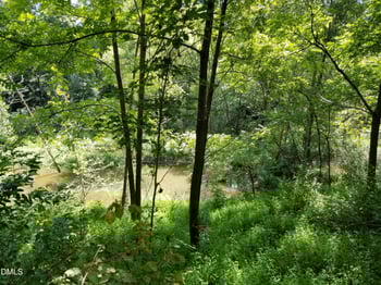 Dyson Dr, Mebane, NC 27302