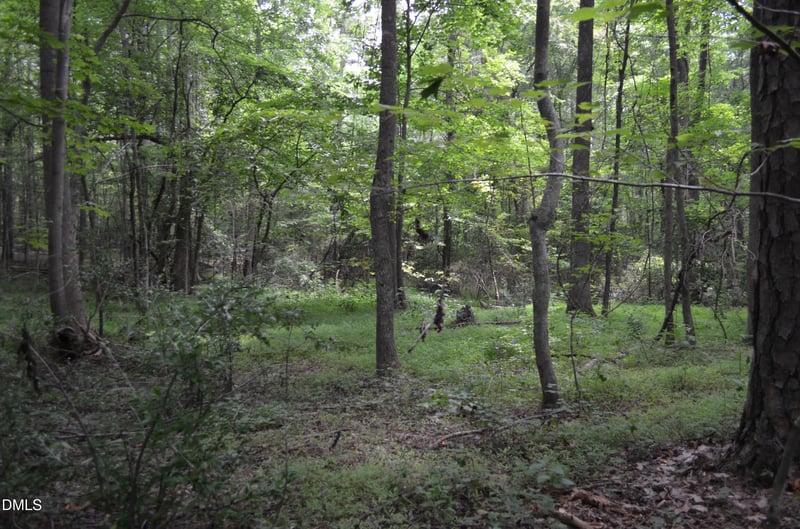 Dyson Dr, Mebane, NC 27302