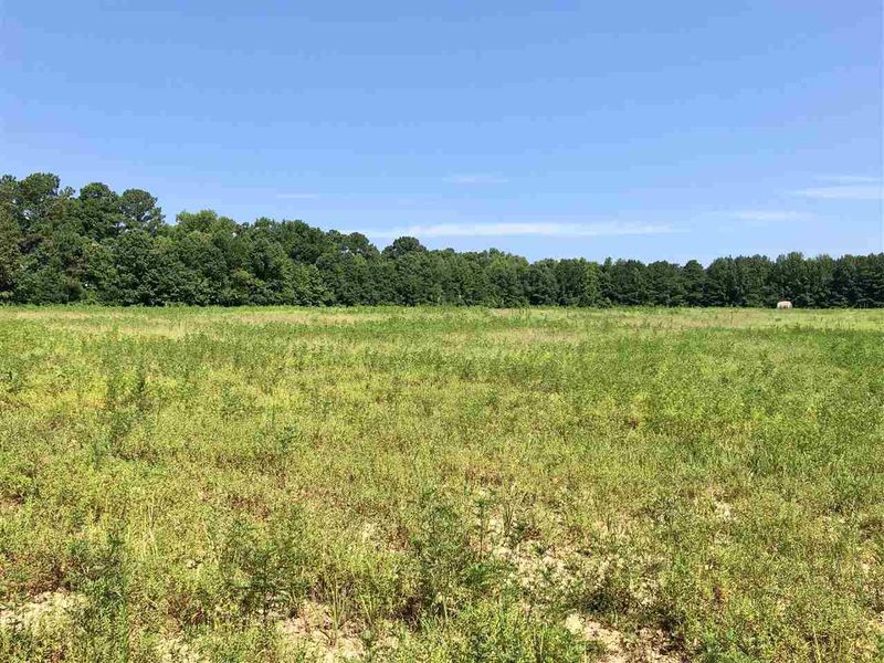 0 Earpsboro Chamblee Rd, Wendell, NC 27591