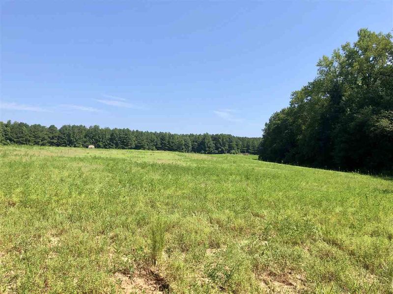 0 Earpsboro Chamblee Rd, Wendell, NC 27591