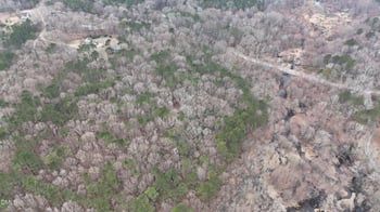 Eatmon Rd, Zebulon, NC 27597