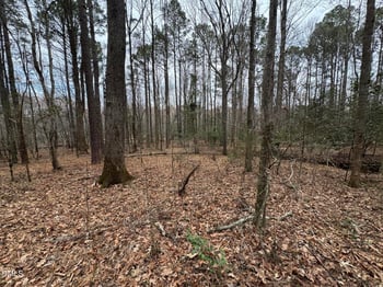 Eatmon Rd, Zebulon, NC 27597