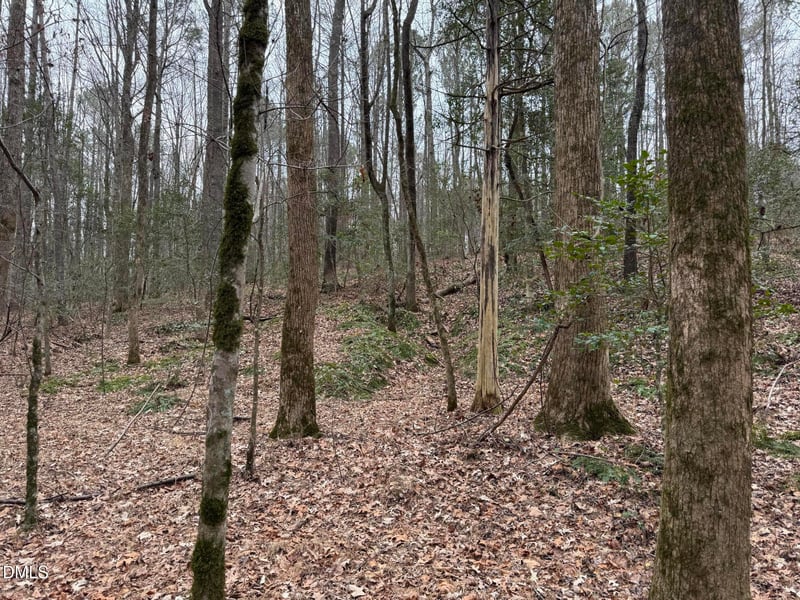 Eatmon Rd, Zebulon, NC 27597