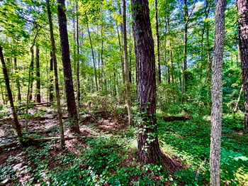 Eli Olive, Smithfield, NC 27577