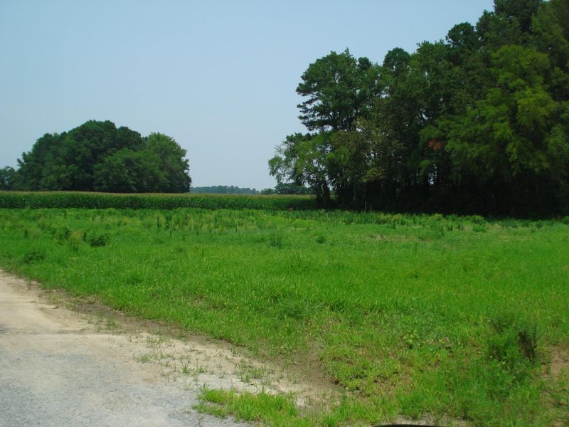 0 Elm St, Dunn, NC 28334