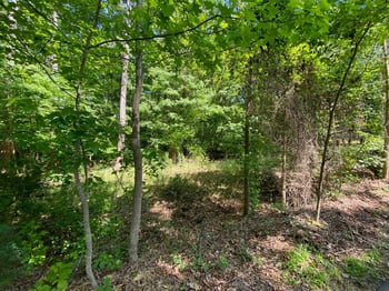Englewood Dr Lot 165-172, Apex, NC 27539