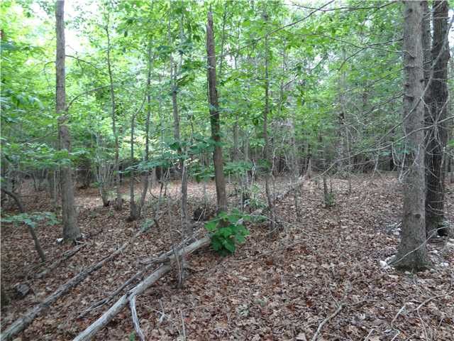 0 Evans Rd, Wake Forest, NC 27587