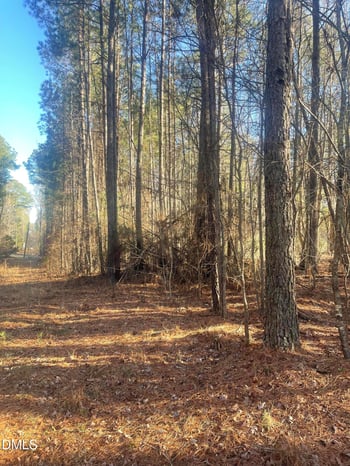 Farrell Rd, Sanford, NC 27330