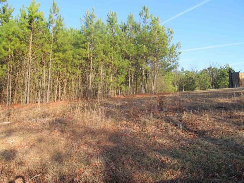 0 Federal Road Extension, Benson, NC 27504