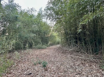 Fields Dr Lot Exhibit A, Raleigh, NC 27603