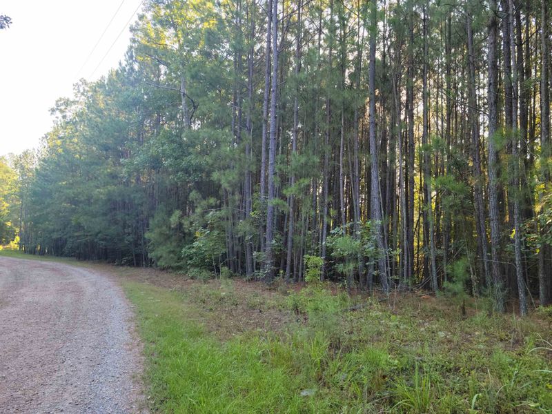 0 Firestone Ln Lot 1, Sanford, NC 27330
