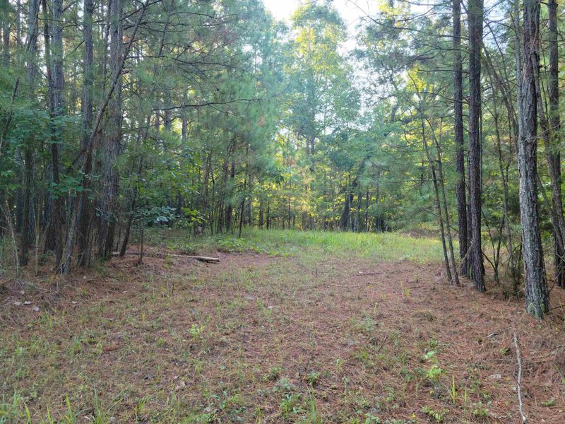 0 Firestone Ln Lot 1, Sanford, NC 27330