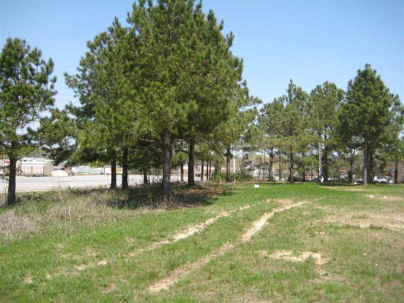 0 Forestville Rd Lot 2, Wake Forest, NC 27587