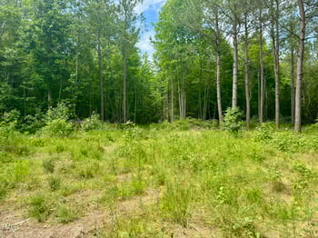 0 Fraizer Rd, Spring Hope, NC 27882