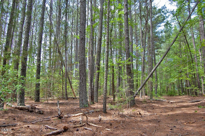 G F Ball Rd, Louisburg, NC 27549