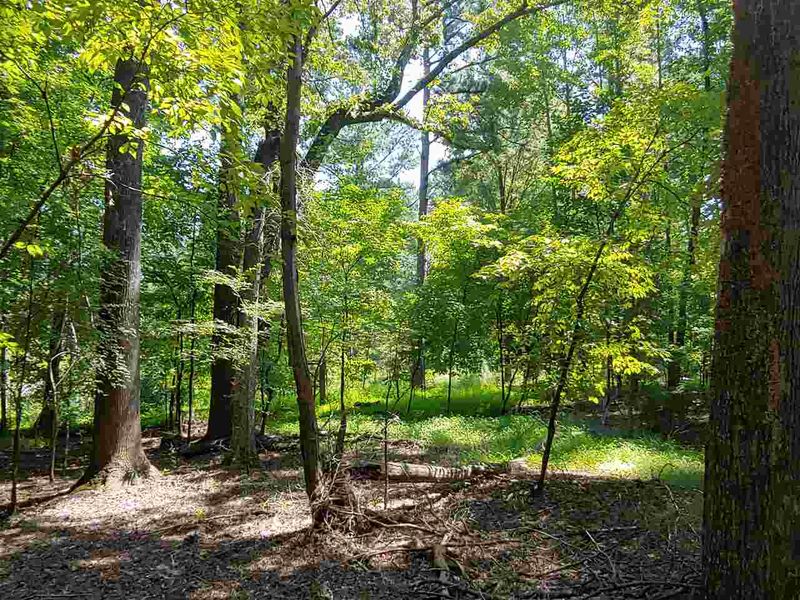 0 Ganesh Pl Lot 4, Durham, NC 27705
