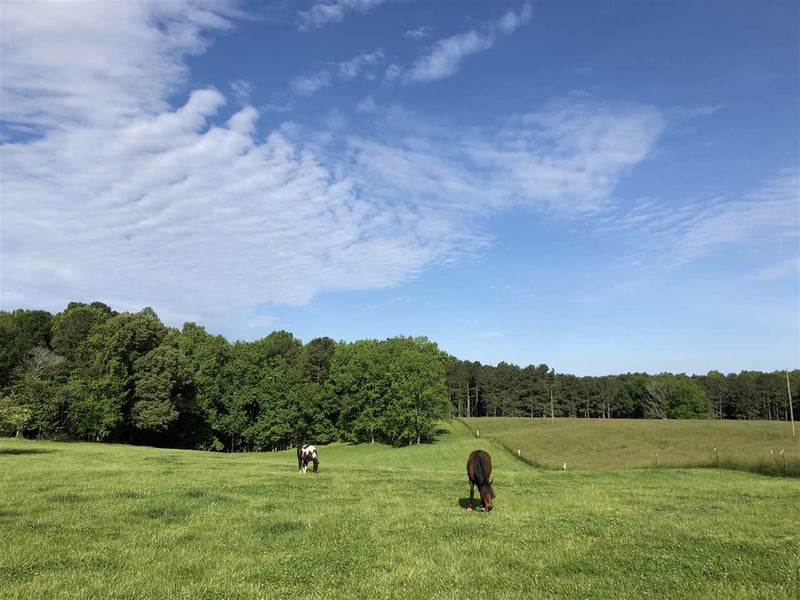 Garffe Sherron Rd, Wake Forest, NC 27587