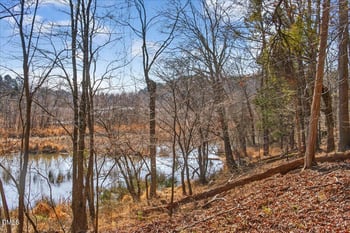 Globe Rd Lot None, Morrisville, NC 27560