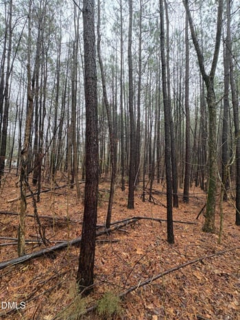 Glosson Rd, Siler City, NC 27344