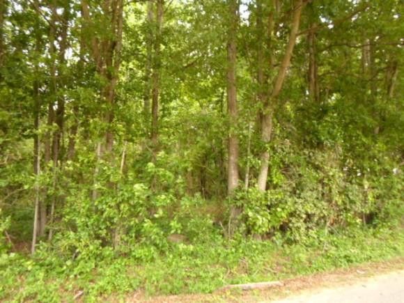 0 Goldsboro Ave, Sanford, NC 27330