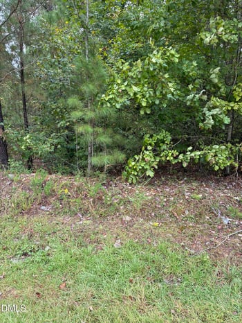 Gordon Moore Rd, Franklinton, NC 27525