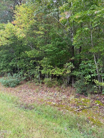 Gordon Moore Rd, Franklinton, NC 27525