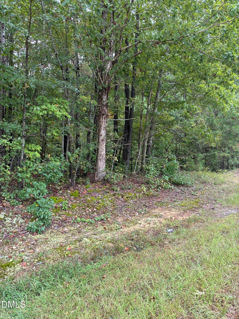 Gordon Moore Rd, Franklinton, NC 27525