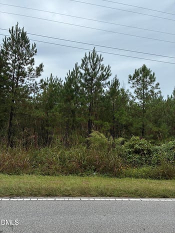 Gordon Moore Rd, Franklinton, NC 27525