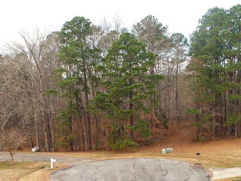 0 Green Level Dr Lot 48, Angier, NC 27501
