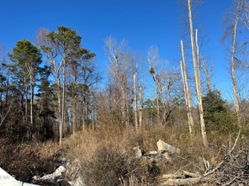 Guy Rd, Clayton, NC 27520