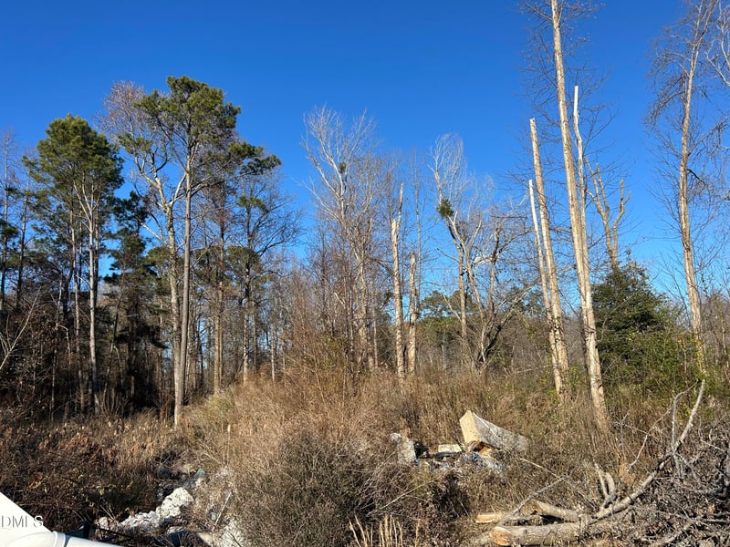 Guy Rd, Clayton, NC 27520