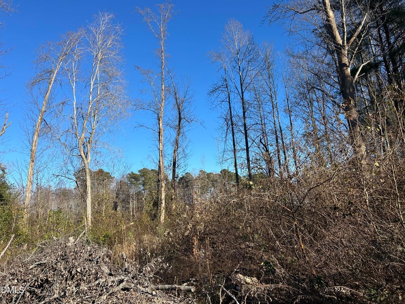 Guy Rd, Clayton, NC 27520