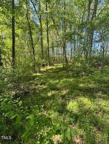 Hamlets Chapel Rd, Pittsboro, NC 27312