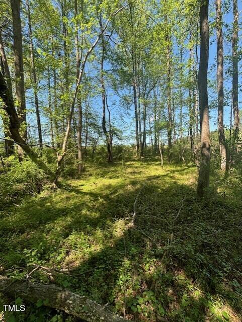 Hamlets Chapel Rd, Pittsboro, NC 27312