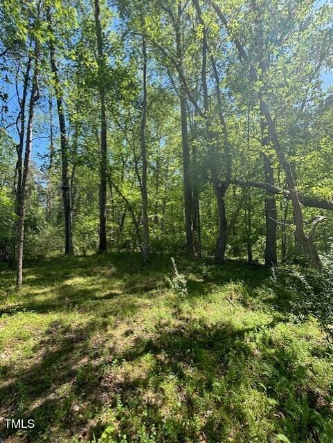 Hamlets Chapel Rd, Pittsboro, NC 27312