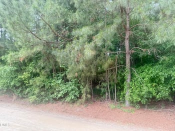 Happy Trails Ln, Dunn, NC 28334