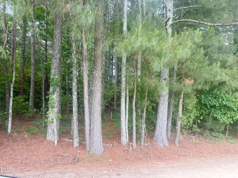 Happy Trails Ln, Dunn, NC 28334