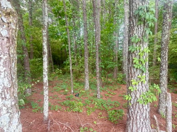 Happy Trails Ln, Dunn, NC 28334