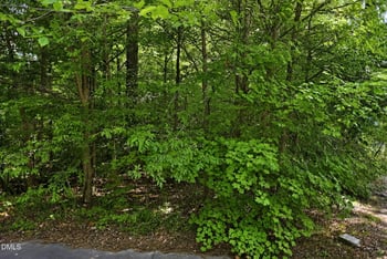 Heather Ct Lot 25, Franklinton, NC 27525