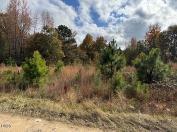 0 High Pocket Dr, Holly Springs, NC 27540