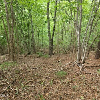 0 Highway 49 Lot 2, Mebane, NC 27302