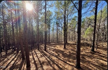 Highway 86 , Prospect Hill, NC 27314