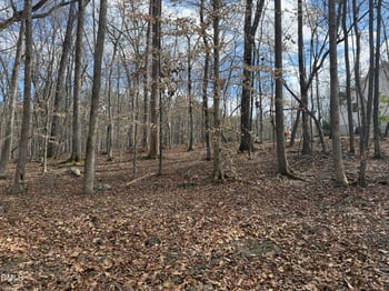 Hillcrest Ln, Littleton, NC 27850