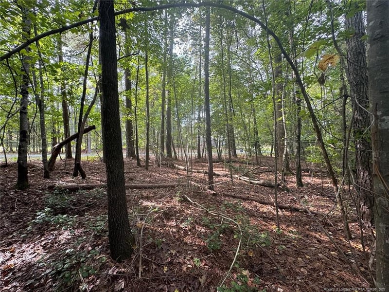0 Hilltop Rd, Sanford, NC 27330